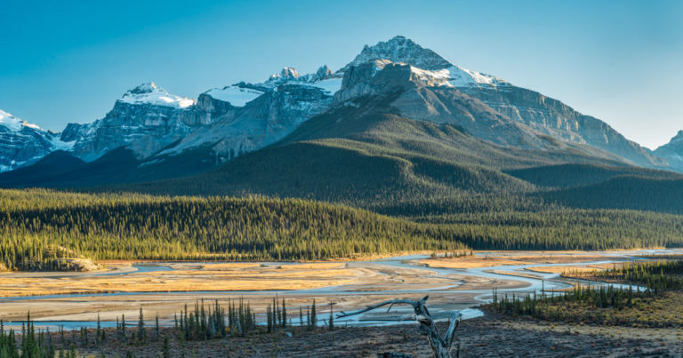 Ontario, British Columbia và Prince Edward Island tỉnh đã ban hành ITA theo Chương trình đề cử cấp tỉnh